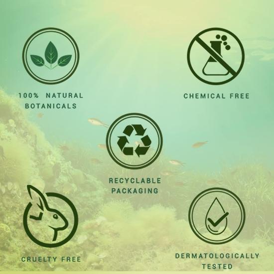 Biotique Bio Seaweed Revitalizing Anti Fatigue Eye Gel | Odpowiedni dla każdego rodzaju skóry | 15G, 1 sztuka