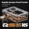 Non-Toxic Reptile Feeder Bowls Escape-Proof Reptile Feeder Dish Pet Feeding Bowls Terrarium