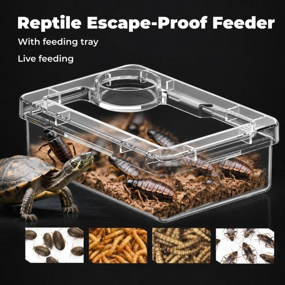 Non-Toxic Pet Feeding Bowls Easy Clean Reptile Feeder Dish Habitat Accessories