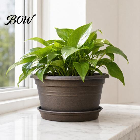 Resin Planters for Bulbs Bulb Plant Pot with Saucer, 10 Inch 13 Wide Flowerpot Sturdy Lilies Drainage Holes, Indoor Outdoor Planter Tulips