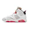 (GS) Air 6 Retro 'Hare' Kids' 384665-062