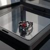 Fashion  Retro New Sense of Design Rings Crow Unisex Dark Adjustable Opening Ring Accessories Jewelry Gifts Halloween Props
