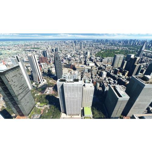 Microsoft Flight Simulator: Standard Japanese version