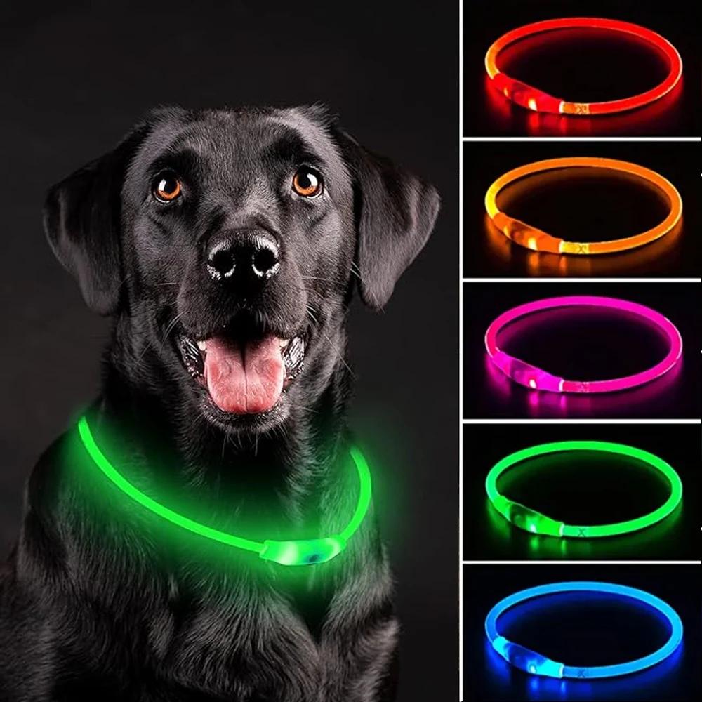 Collare per Cani a LED Luminoso USB Collare per Gatti Cani 3 Modalità Luce LED Incandescente Prevenzione Perdita Collare LED per Cani Accessori per Cani Domestici