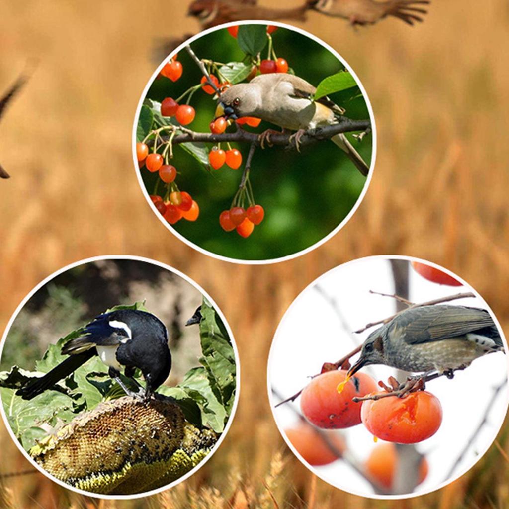 NEW Solar Animal Repellents With 13 Kinds Of Sound Playback Repelling Animals Alarm Repeller Outdoor Bird Repeller Accessories