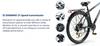 PASEBIKE C29 Elektrokolo EU 250W 65Nm 48V 21Ah 25km/h Dojezd 120km 29x2.1 E-bike