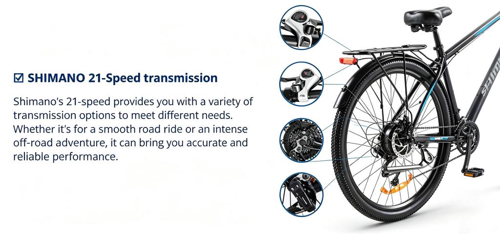 PASEBIKE C29 Elektrokolo EU 250W 65Nm 48V 21Ah 25km/h Dojezd 120km 29x2.1 E-bike
