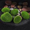 Marimo Moss Balls Artificial Grass Stones Turf Mini Fairy Garden Micro Terrarium