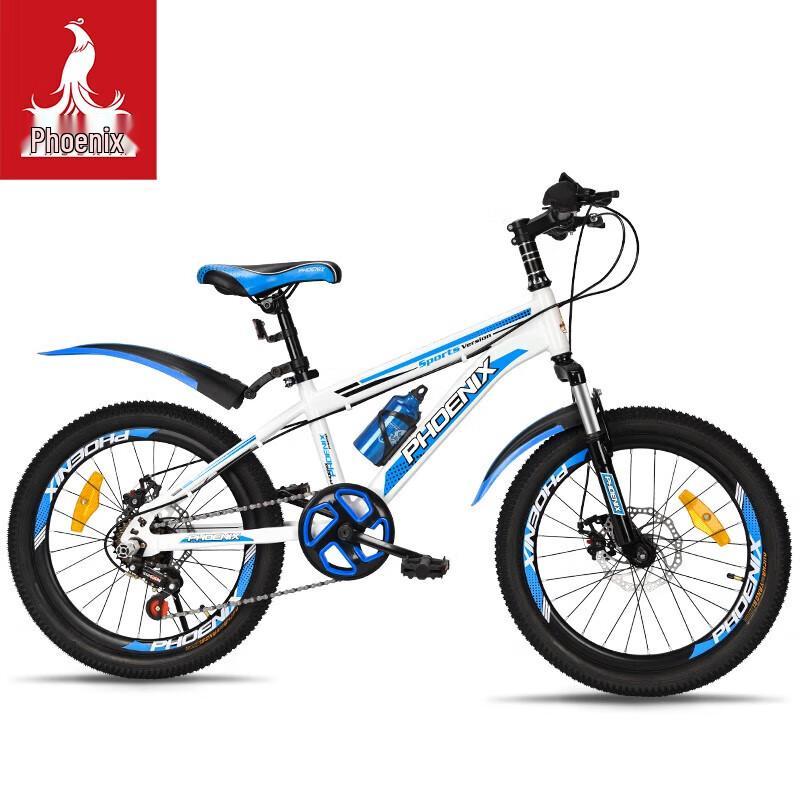 PHOENIX 20-inch 7-Speed Kids' Mountain Bike