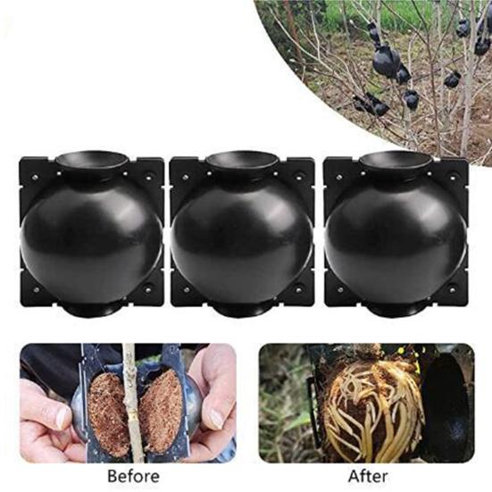 10Pcs Plant Root Growing Box Sturdy Structure Anti-deform Plastic Propagation Ball Plant Asexual Reproduction Devices for Garden