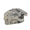 Clear Cats Orals Teeth Model Cats Teeth Anatomical Model Animal Teaching Supplies Veterinary Office Educational Tool