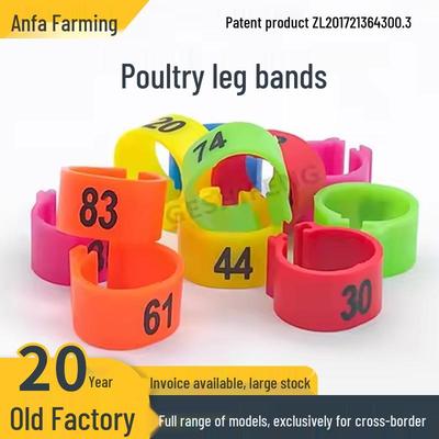 Anilla de pata de paloma: Anillo de Identificación para Carreras, Aves de Corral y Palomas Mensajeras