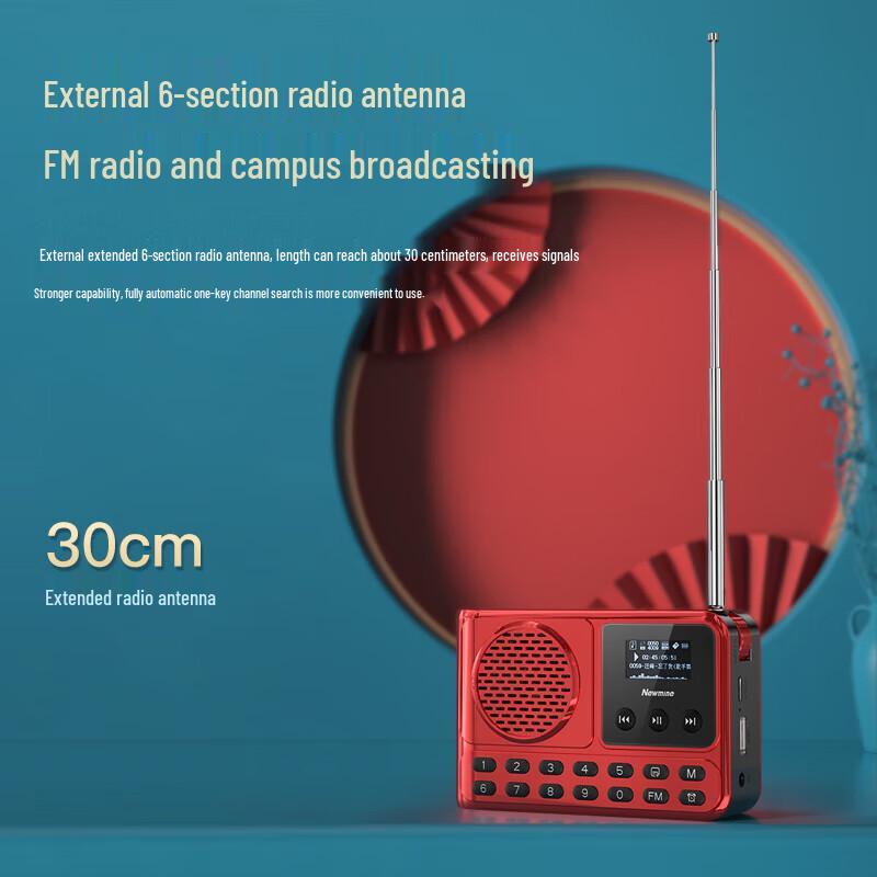 Newmine MX28 Portable Bluetooth Speaker with Radio CN plug (adapter included)
