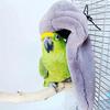 Bird Nest Parrot Blanket Warm Plush Fluffy Hanging Hammock Budgie Toys Winter Warm Bird Nest