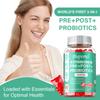 Synbiotics, Rich In Prebiotics and Probiotics, Containing Lactobacillus and Bifidobacteria, Promote Gut Health and Relieve Bloating.