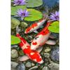 5D Diamond Painting Animal Fish Rhinestone Art Picture Cross Stitch Kit Full Diamond Embroidery Gift DIY Mosaic Home Decoration