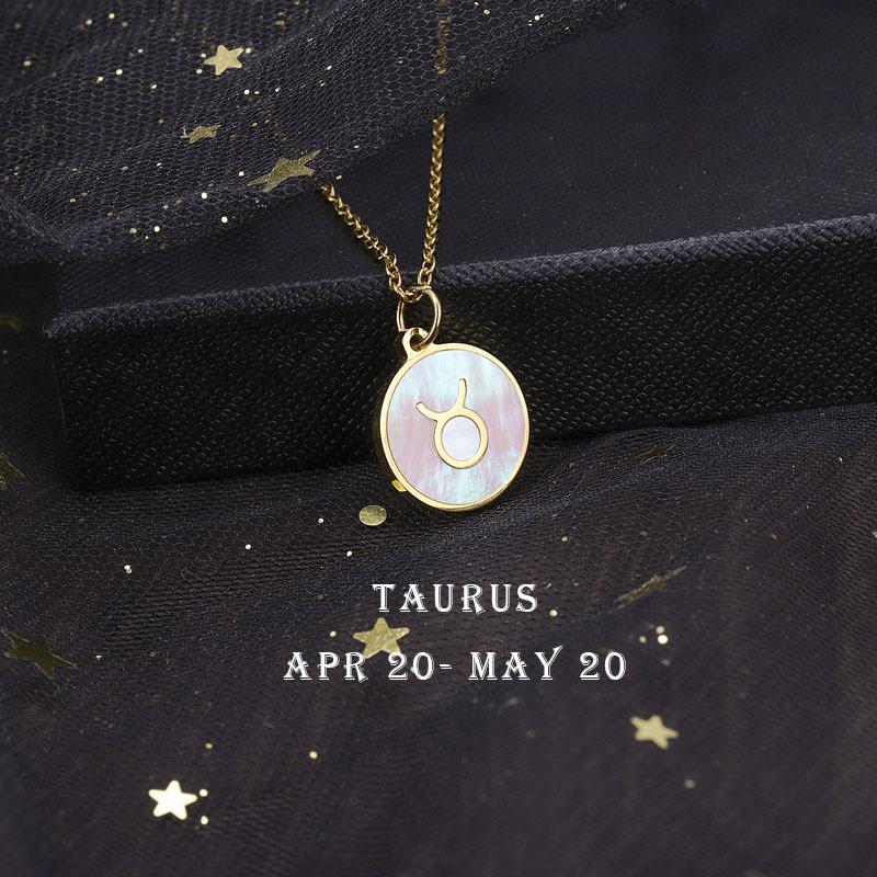 12 Constellation Symbol Titanium Steel Necklace Couple Necklace