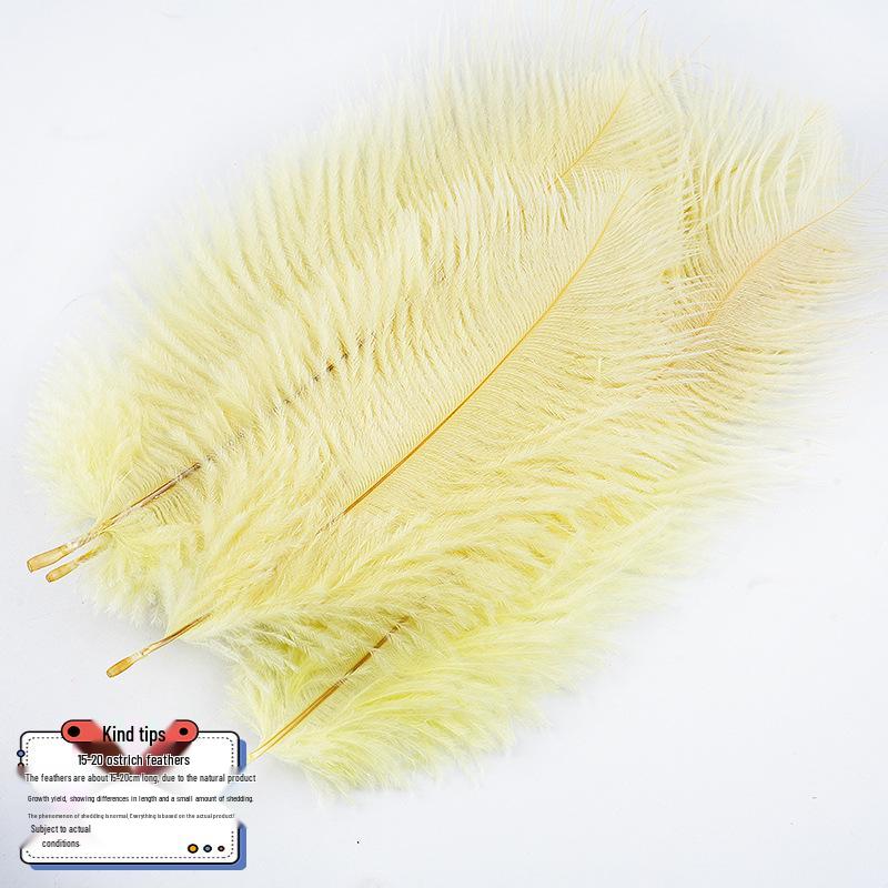 Velká 15-20cm Pštrosí Pera pro Svatební Aranžmá a Scénické Rekvizity