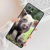 Funny Cartoon Pig Phone Case For Samsung Galaxy S25 S23 S30 S8 S21 S20 FE S24 S22 Note 10 20 Plus lite Ultra
