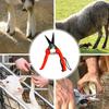 Forbici per zoccoli di pecora Potatura arbusti piante floreali Forbici da potatura da giardino Forbici per zoccoli di capra Tagliaunghie per alpaca agnello maiale