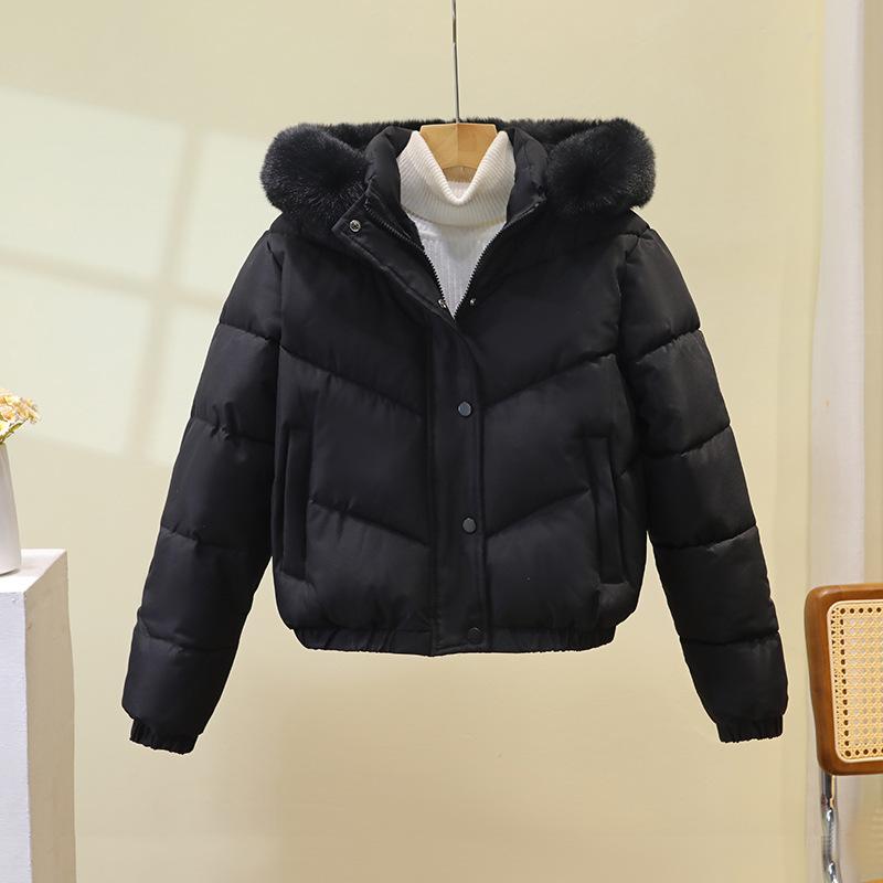2025 winter new big fur collar cotton clothes women's Korean version slim fit small with thickened hooded jacket