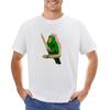 Mildly Threatening Aura Eclectus T-shirt Plain Short Sleeve Tee Fruit of the Loom Mens T Shirts