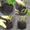 Rat Prevention Plant Root Protection Cover Protective Mesh Bag  Flower Bulbs Protection