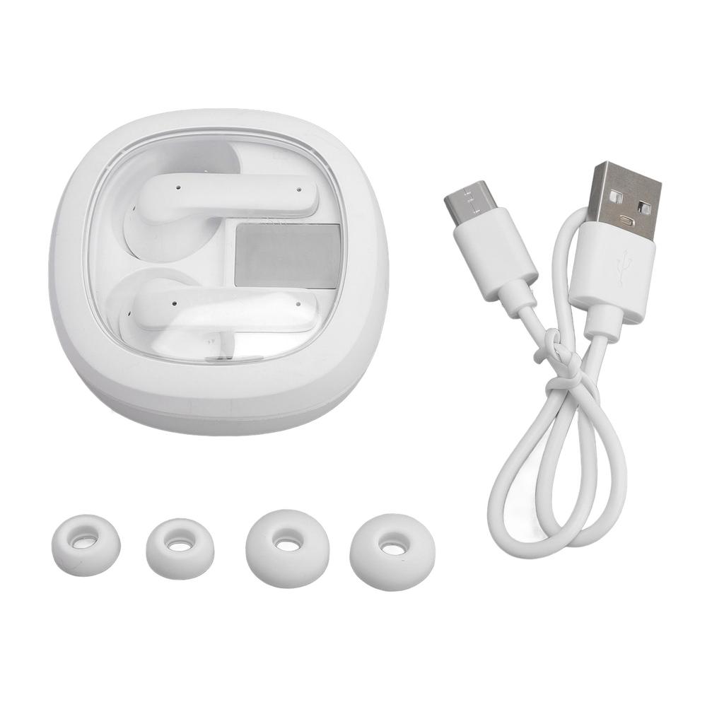 Sprachübersetzer Ohrhörer 5.4 Echtzeit Online 144 Sprachen Übersetzungsgerät mit APP für