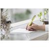 Pilot Fountain Pen LIGHTIVE FLT-2SR Body + 5 Cartridges Loconeko Card (Active Red M (Medium))