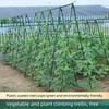 Multi-Purpose Garden Stakes 20Piece - Durable Support for Grapes, Vines, Tomatoes, Cucumbers & All Vegetables