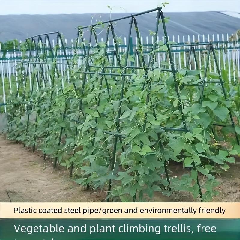 Multi-Purpose Garden Stakes 20Piece - Durable Support for Grapes, Vines, Tomatoes, Cucumbers & All Vegetables