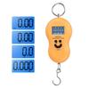 Digital Hanging Fishing Scale 50kg 10g High Accuracy Mini Pocket Weight Scale for Kitchen Travel Fishing Daily Use