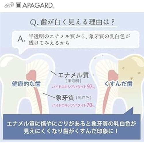 Apagard Premio 53g X 2 Bottles (Bulk Purchase with Sangi Bonus) Whitening Toothpaste and Original Pocket Tissue