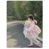 Kids Girls Long Sleeve Lolita Princess Puffy Casual Children Dress