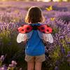 Ladybug Wing for Girls Boys Men Women Halloween Ladybird Costume Fairy Bee Wings for Halloween Masquerade Carnival