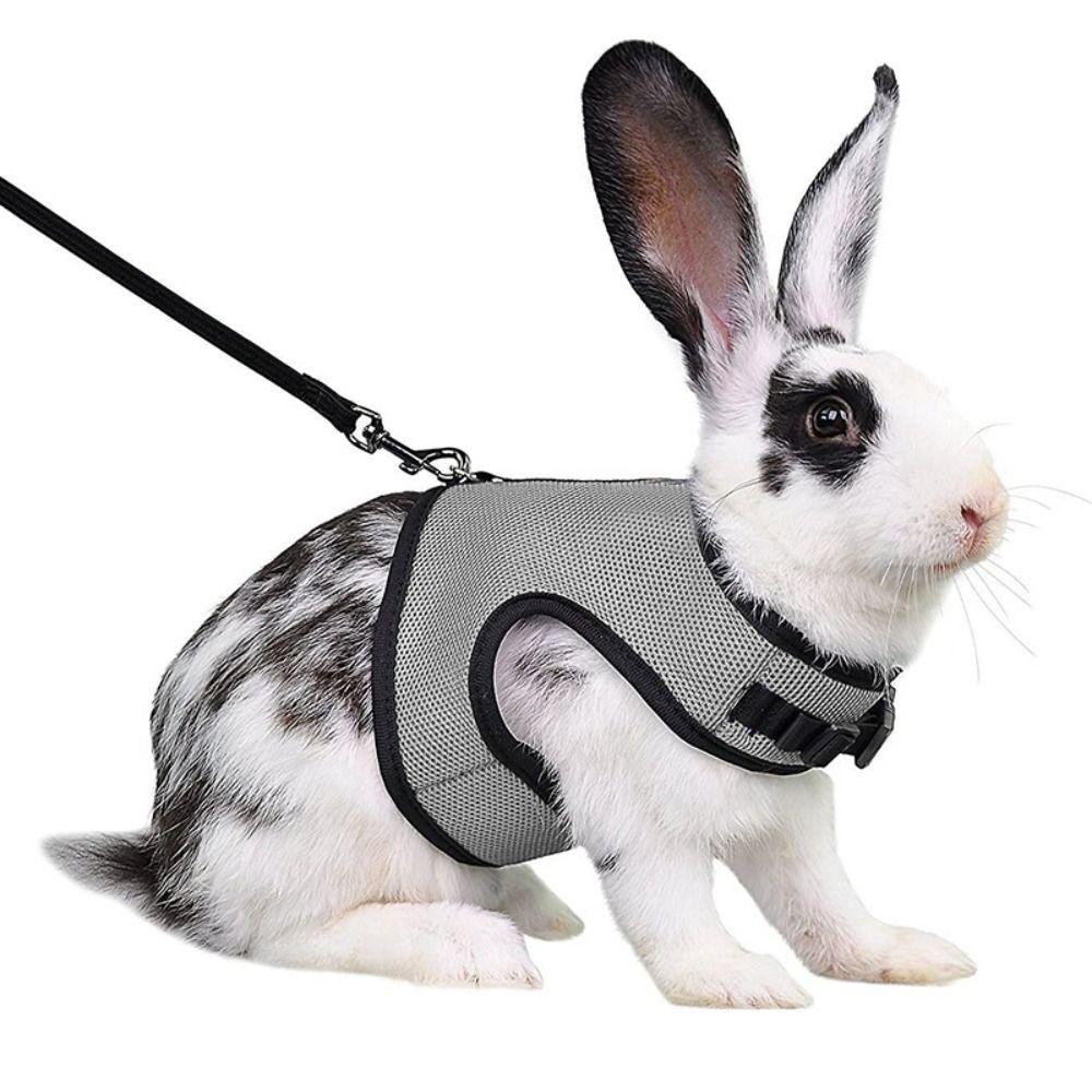 Stylish Rabbit Harness and Leash Set Breathable Pet Chest Strap Pets Supplies Pet Harness  Bunny