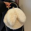 Plush Velvet Bag Women's Autumn New Niche Chain Crossbody Bag Women's Hand-Held Wool Small Round Bag