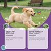Dog Spray Stress Spray Dog Relaxation Spray Is Suitable For Uniform Outdoor Spraying And Has A Wide Range Of Applications,100ml