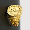 Men's Elegant Crown & Lion Shield Emblem Ring - Golden Plated Royal Seal Design, Intricate Detailing, Durable Statement for Casual & Formal Wear, Form