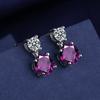 925 Silver Geometric Stylish Simple Round Zircon Multicolor Women's Daily Elegance Stud Earrings