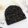 Thicken Leopard Jacquard Unisex Beanies Trendy Autumn Winter Warm Hat Hip Hop Vintage Knit Hats for Women Men