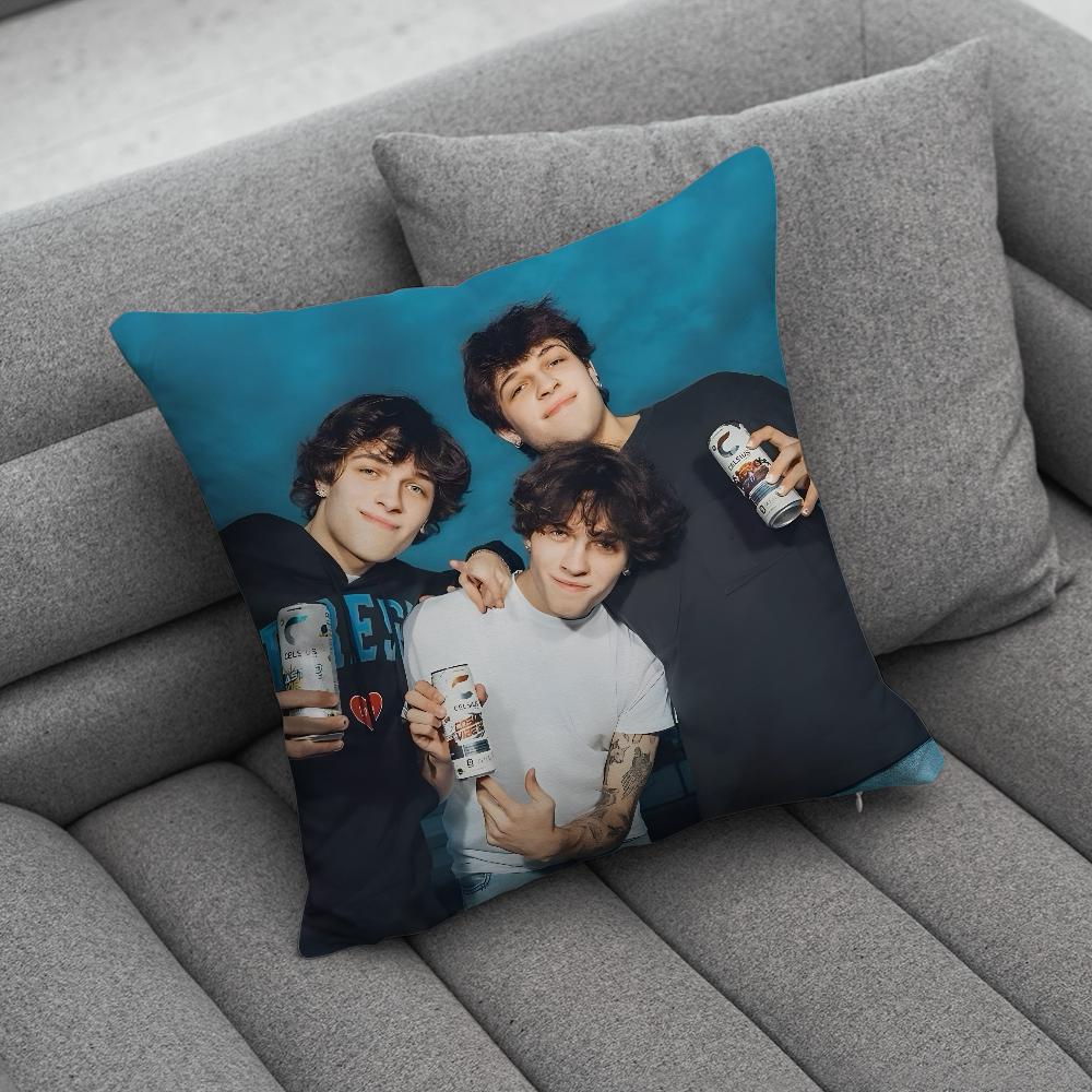 SSturniolo TTriplets Pillow Case Soft Cushion Cases for Farmhouse Sofa Decor Home Decorations and Protector