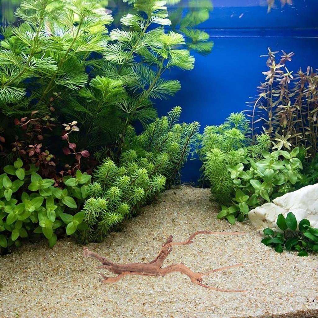 Mipcase 3 Stück Treibholz für Aquarium, Spinnenholz für Aquarium Aquarium Dekorationen Fischbecken Dekorationen Treibholz für Reptilienbecken Dekor