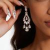 Elegant Silver Needle Zirconia Hollow Water Drop Pendant Earrings – Luxurious and Fashionable Accessories for Women
