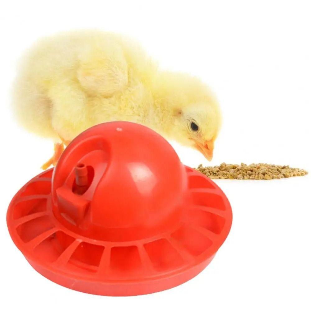 

5 Styles Chick Drinking Bowl Portable Chicken Drinking Fountains Poultry Waterer Chicken 5