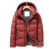 2025 Winter Men's Hooded Down Jacket - Korean Style, Warm, Stand Collar, White Duck Down for Middle-Aged & Young