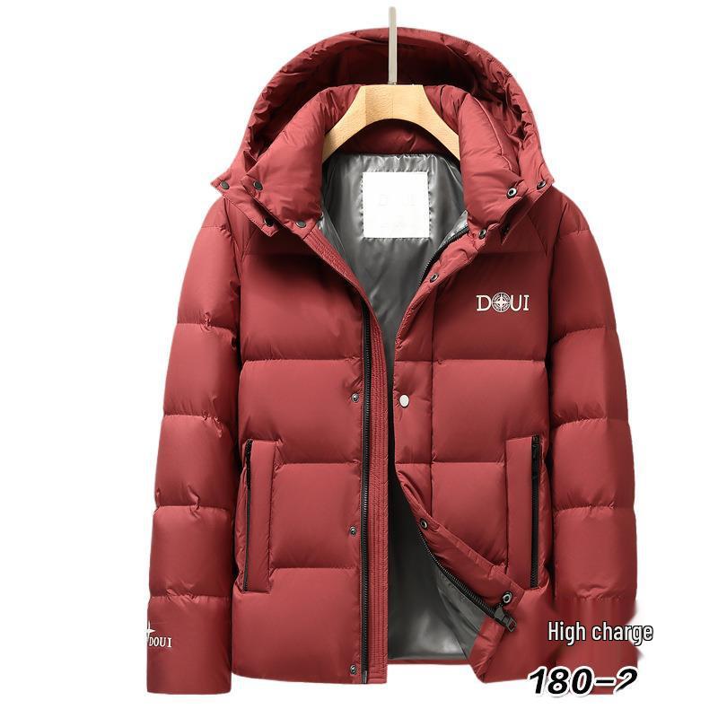 2025 Winter Men's Hooded Down Jacket - Korean Style, Warm, Stand Collar, White Duck Down for Middle-Aged & Young