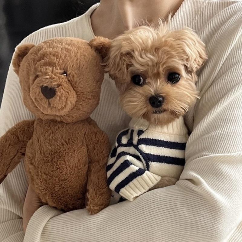 Cute Bear Dog Clothes Striped Autumn Winter Sweater for Dogs Pet Warm Coat Knitted Clothing Chihuahua Dachshund Puppy Pullover