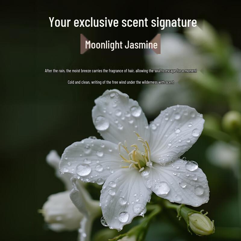 KONO Peptide Oil Control & Volumizing Shampoo