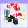 Simulated Potted Phalaenopsis Artificial Flower Desktop Ornament Decoration